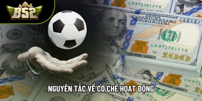 Nguyên tắc về cơ chế hoạt động Nguyên tắc về cơ chế hoạt động