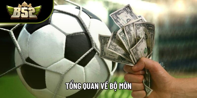 Tổng quan về bộ môn Tổng quan về bộ môn