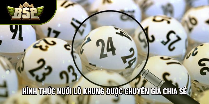 Hình thức nuôi lô khung được chuyên gia chia sẻ Hình thức nuôi lô khung được chuyên gia chia sẻ