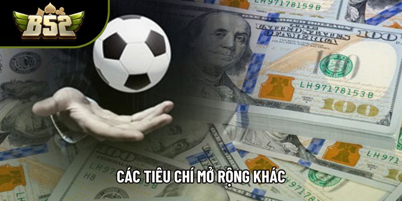 Các tiêu chí mở rộng khác Các tiêu chí mở rộng khác